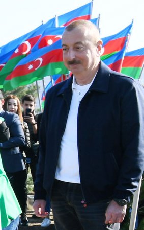 İlham Əliyev və Mehriban Əliyeva ağacəkmə aksiyasında - FOTO