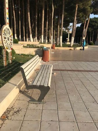 Daha bir park biabırçılığı: təhlükə su ilə bədənimizə keçir, 20-30 il yaşayır - FOTO